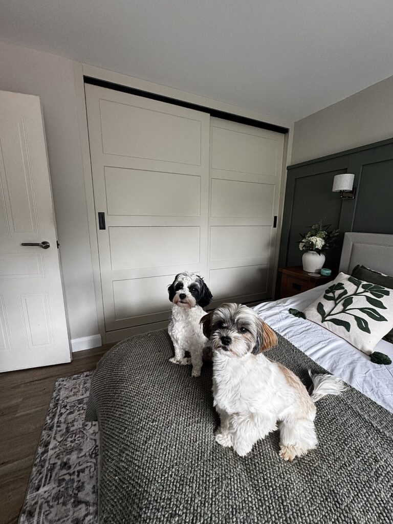 Recent Projects | Made to Measure Sliding Wardrobes in Redditch – A Luxury Shaker Bedroom Transformation Recent Projects | Made to Measure Sliding Wardrobes in Redditch – A Luxury Shaker Bedroom Transformation